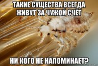 такие существа всегда живут за чужой счёт ни кого не напоминает?