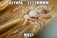 ну типа.... ээээмммм мяу?