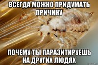 всегда можно придумать причину почему ты паразитируешь на других людях