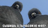  сышишь, а ты часом не фоп?