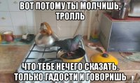 вот потому ты молчишь, тролль что тебе нечего сказать. только гадости и говоришь