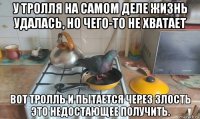 у тролля на самом деле жизнь удалась, но чего-то не хватает вот тролль и пытается через злость это недостающее получить.