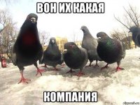 вон их какая компания