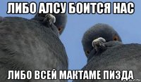 либо алсу боится нас либо всей мактаме пизда
