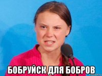  бобруйск для бобров