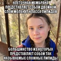 клеточная мембрана представляет собой двойной слой молекул класса липидов большинство из которых представляет собой так называемые сложные липиды