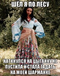 шёл я по лесу наткнулся на цыганку не пустила и стала гадать на моей шарманке