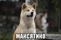  максятико