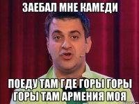 заебал мне камеди поеду там где горы горы горы там армения моя