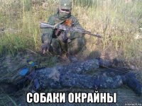 собаки окрайны