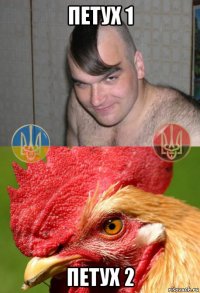 петух 1 петух 2