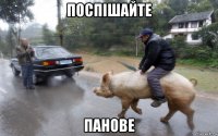 поспiшайте панове