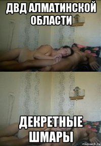 двд алматинской области декретные шмары
