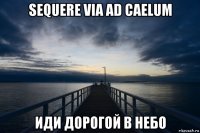 sequere via ad caelum иди дорогой в небо