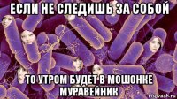 если не следишь за собой то утром будет в мошонке муравейник