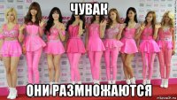 чувак они размножаются