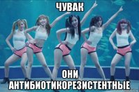 чувак они антибиотикорезистентные