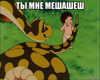 ты мне мешашеш 