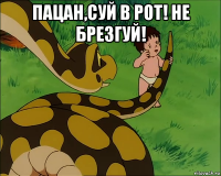 пацан,суй в рот! не брезгуй! 