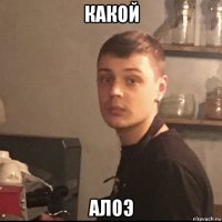 какой алоэ
