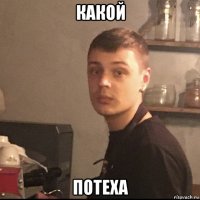 какой потеха