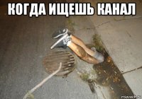 когда ищешь канал 