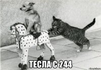  тесла с 244