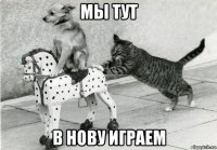 мы тут в нову играем