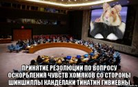  принятие резолюции по вопросу оскорбления чувств хомяков со стороны шиншиллы канделаки тинатин гивиевны