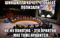 шиншилла хочет, чтобы её полизали -не, ну понятно. - это приятно. - мне тоже нравится.