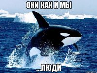 они как и мы ...люди
