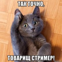 так точно, товарищ стример!