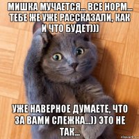 мишка мучается... все норм... тебе же уже рассказали, как и что будет))) уже наверное думаете, что за вами слежка...)) это не так...