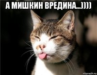 а мишкин вредина...)))) 