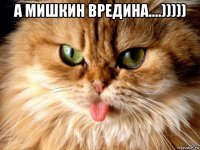 а мишкин вредина....))))) 