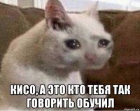  кисо, а это кто тебя так говорить обучил
