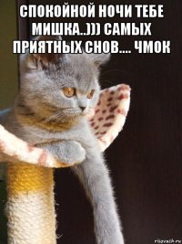 спокойной ночи тебе мишка..))) самых приятных снов.... чмок 