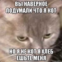 вы наверное подумали что я кот но я не кот я хлеб ешьте меня