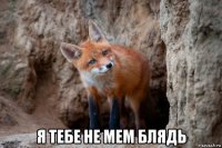  я тебе не мем блядь