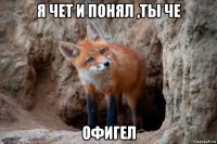 я чет и понял ,ты че офигел