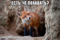 есть, чё похавать? 