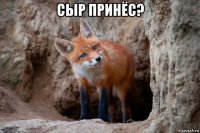 сыр принёс? 
