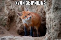 хули зыришь? 