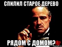 спилил старое дерево рядом с домом?