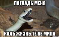 погладь меня коль жизнь те не мила