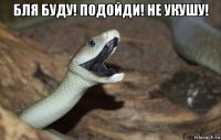 бля буду! подойди! не укушу! 