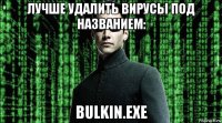лучше удалить вирусы под названием: bulkin.exe