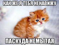 как же я тебя ненавижу паскуда немытая