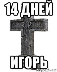 14 дней игорь
