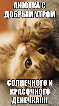 анютка с добрым утром солнечного и красочного денечка!!!!